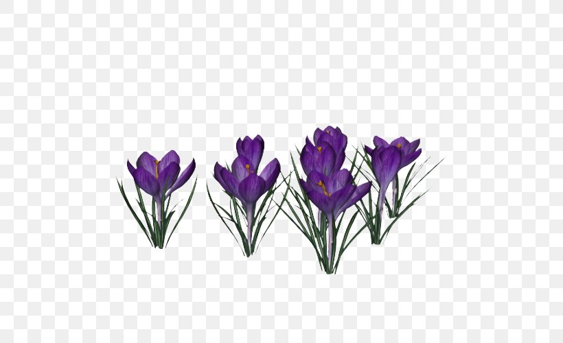 Display Resolution Clip Art, PNG, 500x500px, Display Resolution, Crocus, Cut Flowers, Das Productions Inc, Flower Download Free