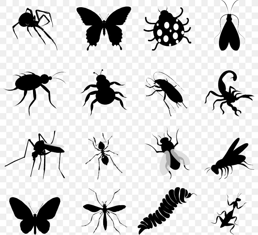 Insect Silhouette Butterfly Clip Art, PNG, 800x748px, Insect, Arthropod, Black And White, Butterfly, Fly Download Free