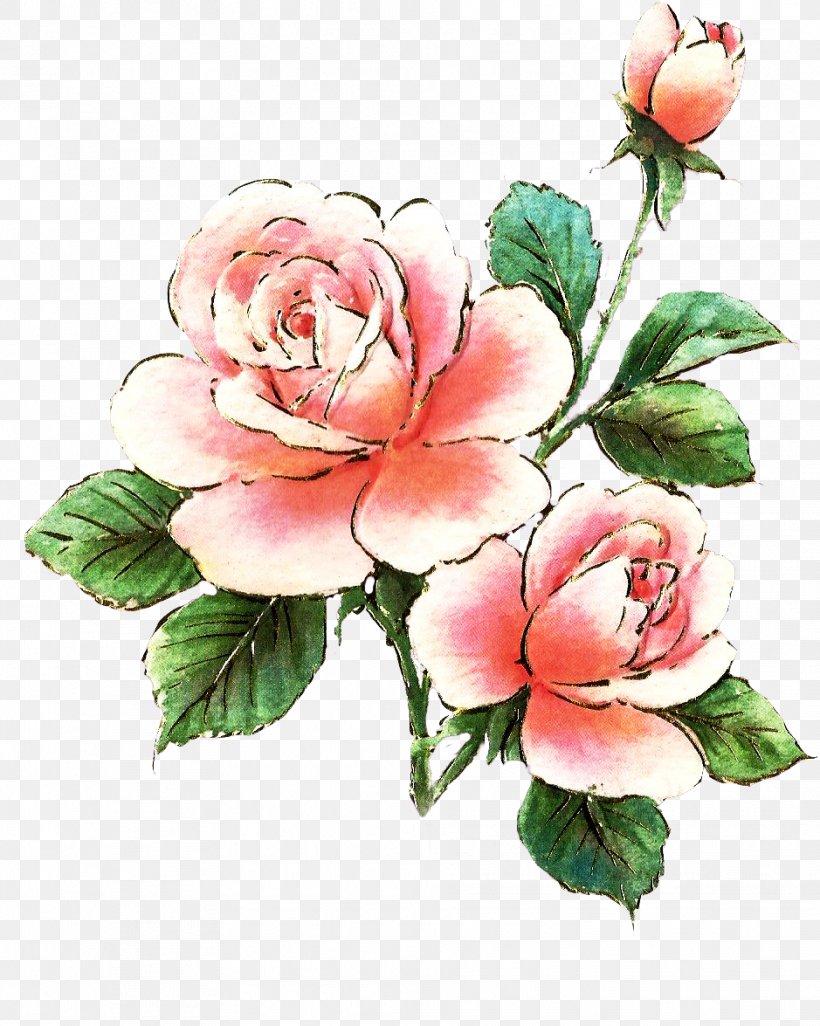 Rose Pink Free Clip Art, PNG, 939x1175px, Rose, Art, Artificial Flower, Begonia, Cut Flowers Download Free