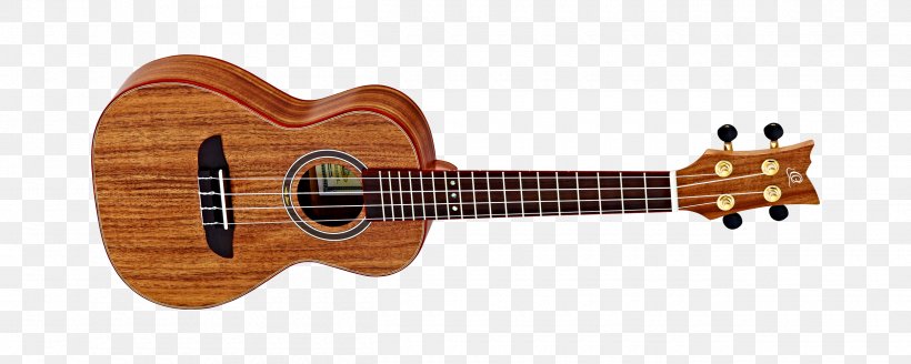 Ukulele Classical Guitar Bass Guitar Acoustic Guitar, PNG, 2500x1000px, Watercolor, Cartoon, Flower, Frame, Heart Download Free