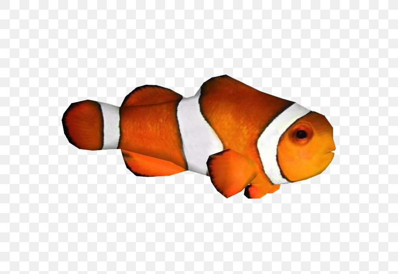 Clip Art Clownfish Image, PNG, 566x566px, Clownfish, Aquarium, Clarks Anemonefish, Fish, Orange Download Free