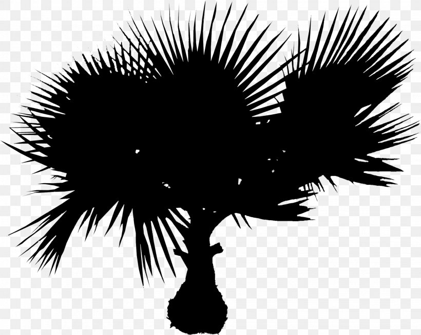 Palm Trees Clip Art Image Desktop Wallpaper, PNG, 2249x1788px, Palm Trees, Arecales, Blackandwhite, Drawing, Oil Palms Download Free