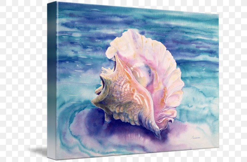 Watercolor Painting Lobatus Gigas Seashell Conch, PNG, 650x537px, Painting, Art, Caribbean Sea, Conch, Conchology Download Free