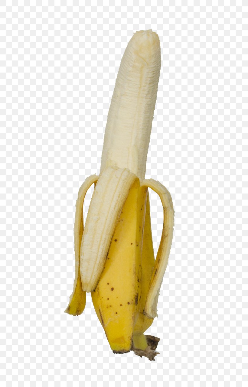 Banana Corn On The Cob, PNG, 459x1280px, Banana, Banana Family, Corn On The Cob, Food, Fruit Download Free