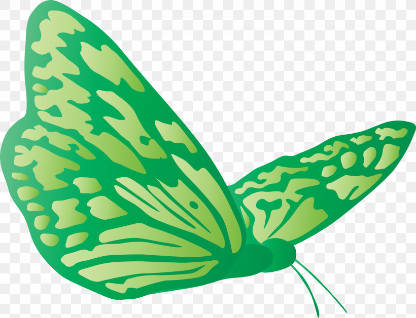Butterfly, PNG, 3000x2301px, Butterfly, Animal Figure, Green, Insect, Leaf Download Free