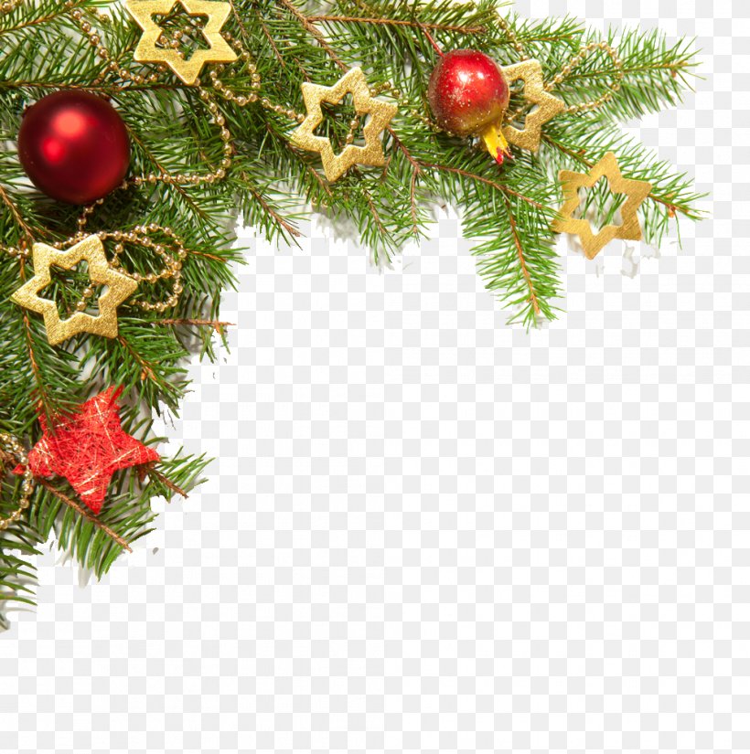 Christmas Decoration, PNG, 993x1000px, Oregon Pine, Branch, Christmas Decoration, Christmas Ornament, Christmas Tree Download Free