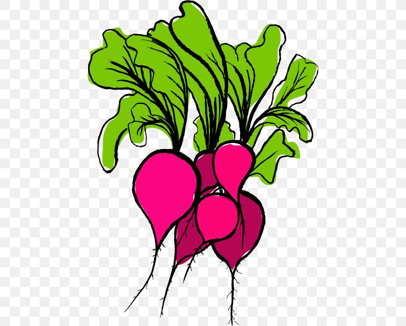 Food Vegetable Garden Radish Clip Art, PNG, 466x659px, Food, Artwork, Autumn, Cut Flowers, Email Download Free