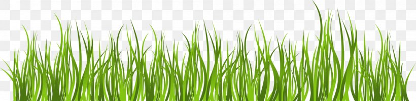 Green Clip Art, PNG, 2000x487px, Green, Blue, Chrysopogon Zizanioides, Commodity, Grass Download Free