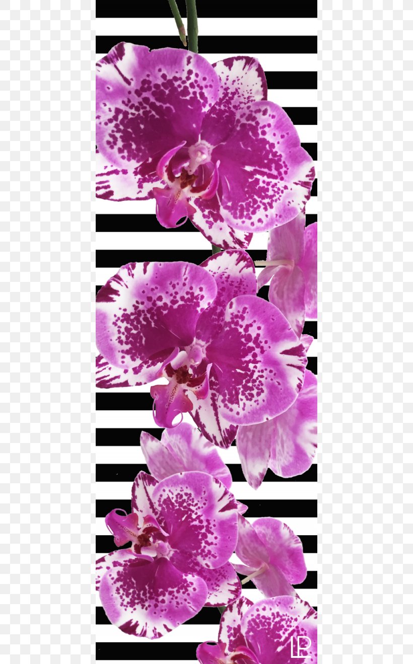Lilac Yoga & Pilates Mats Violet Purple, PNG, 800x1319px, Lilac, Azalea, Azo Dye, Blossom, Cherry Blossom Download Free