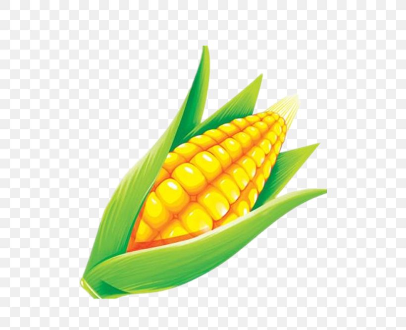 Maize Grauds, PNG, 500x666px, Maize, Advertising, Cartoon, Commodity, Corn Kernel Download Free