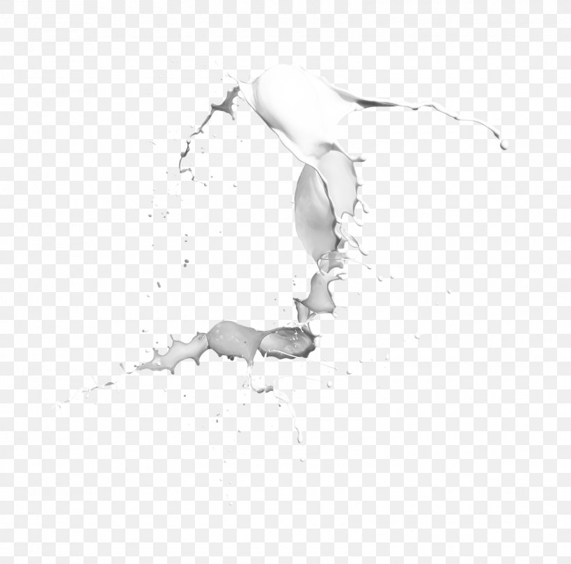 Milk Skimmer Clip Art, PNG, 1600x1583px, Milk, Artwork, Black And White, Branch, Drawing Download Free