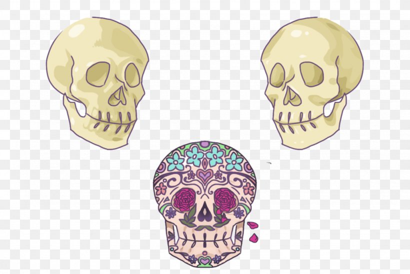 Skull Body Jewellery, PNG, 1024x686px, Skull, Body Jewellery, Body Jewelry, Bone, Jaw Download Free