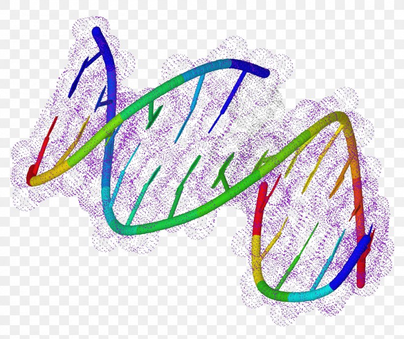 Biology DNA Chemistry Molecule Genetics, PNG, 1000x840px, Biology, Atom, Biochemistry, Chemical Element, Chemical Formula Download Free