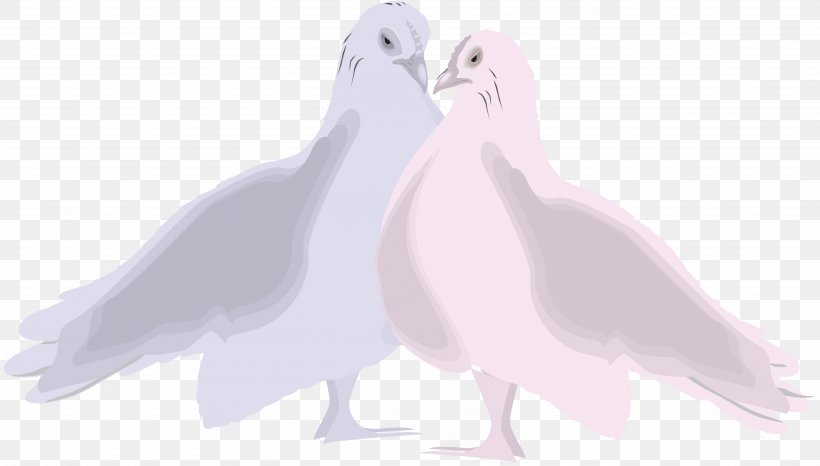 Bird Parrot, PNG, 5445x3097px, Goose, Animation, Beak, Bird, Bird Of Prey Download Free
