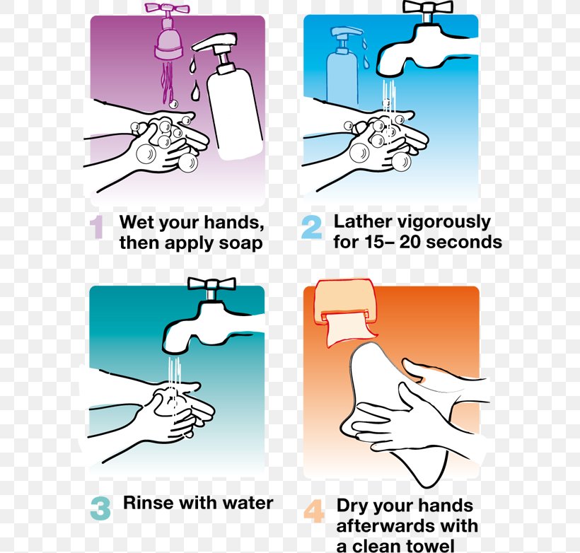Colds & Flu Influenza Preventive Healthcare Hand Washing Common Cold, PNG, 600x782px, Watercolor, Cartoon, Flower, Frame, Heart Download Free