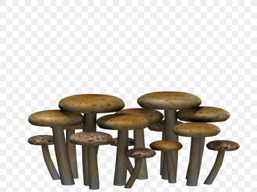 Mushroom Fungus, PNG, 960x720px, Mushroom, Edible Mushroom, Fungus, Furniture, Image File Formats Download Free
