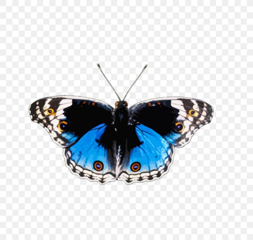 Brush-footed Butterflies Butterfly Insect Butterflies And Bullets: Poetry, Essays And Musings, PNG, 800x779px, Brushfooted Butterflies, Animal, Arthropod, Brush Footed Butterfly, Butterflies And Moths Download Free