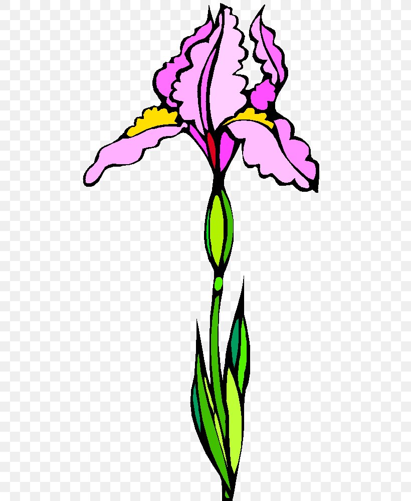 Floral Design Cut Flowers Plant Stem Leaf, PNG, 490x998px, Floral Design, Botany, Cut Flowers, Flower, Flowering Plant Download Free