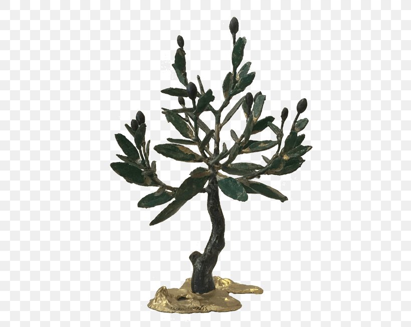 Flowerpot Branching Plant Stem Olive, PNG, 652x652px, Flowerpot, Branch, Branching, Olive, Plant Download Free