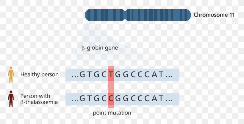Genetics Genome Sequencing DNA, PNG, 1200x610px, Gene, Bioinformatics, Biology, Brand, Chromosome Download Free