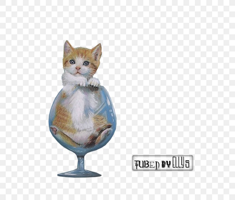 Whiskers Cat Kitten PSP Game, PNG, 700x700px, Whiskers, Blog, Blogger, Cat, Cat Like Mammal Download Free