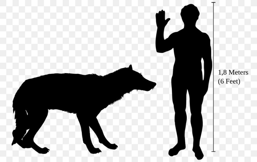 Dog Heterodontosaurus Dire Wolf Vertebrate Beringian Wolf, PNG, 800x517px, Dog, African Wild Dog, Beringian Wolf, Black, Black And White Download Free