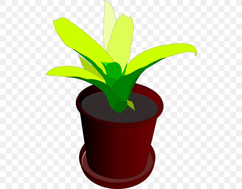 Houseplant Flowerpot Clip Art, PNG, 515x640px, Houseplant, Botany, Drawing, Flower, Flowering Plant Download Free