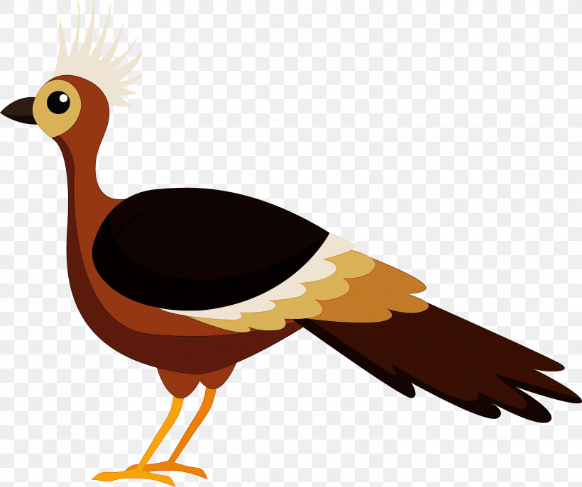 Birds Ducks Beak Owls Northern Cardinal, PNG, 3000x2515px, Bird, Beak, Bird Of Prey, Birds, Cardinal Download Free