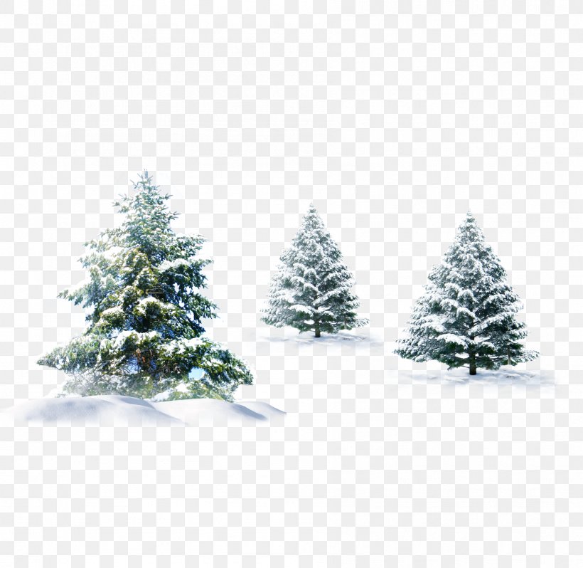 Christmas Tree Gift Wallpaper, PNG, 1789x1742px, Christmas, Christmas Card, Christmas Decoration, Christmas Gift, Christmas Ornament Download Free
