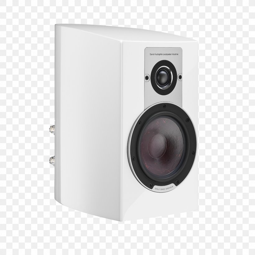Danish Audiophile Loudspeaker Industries Home Theater Systems Subwoofer, PNG, 1024x1024px, Loudspeaker, Audio, Audio Equipment, Audiophile, Bookshelf Speaker Download Free