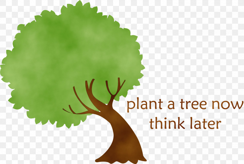 Fruit Tree, PNG, 3000x2024px, Arbor Day, Arborist, Branch, Fruit Tree, Oak Download Free