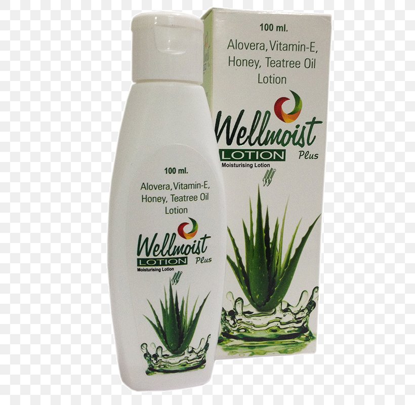 Lotion Plant, PNG, 800x800px, Lotion, Herbal, Plant Download Free