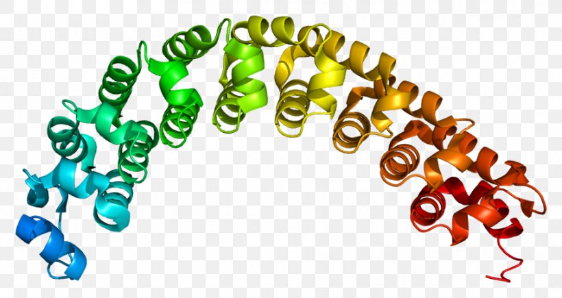 PUM1 CPEB RNA-binding Protein PUM2, PNG, 908x482px, Rnabinding Protein, Binding Protein, Conserved Sequence, Ensembl, Gene Download Free