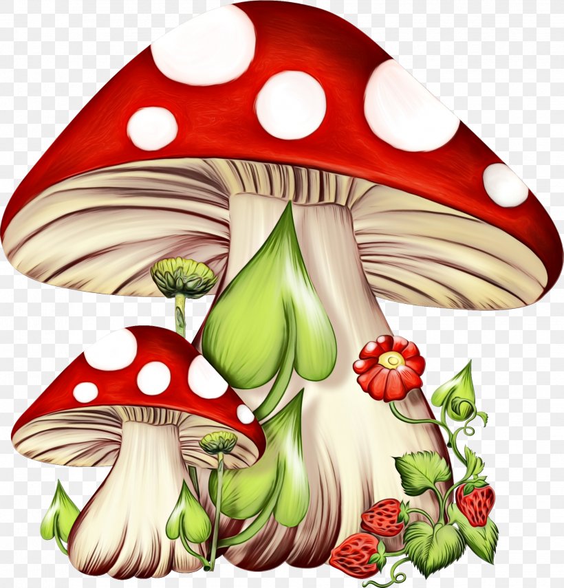 Watercolor Flower Background, PNG, 1963x2047px, Watercolor, Agaric, Cartoon, Fictional Character, Flower Download Free