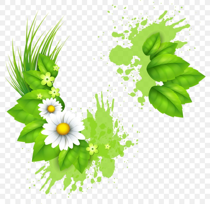 Element, PNG, 786x800px, Element, Art, Daisy, Flora, Floral Design Download Free