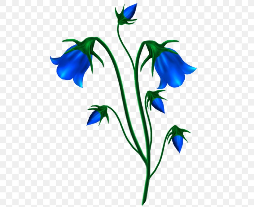 Harebell School Bell Flower Дошкольный Центр Развития Ребенка 36 Clip Art, PNG, 500x667px, Harebell, Artwork, Bell, Bellflower, Bellflower Family Download Free