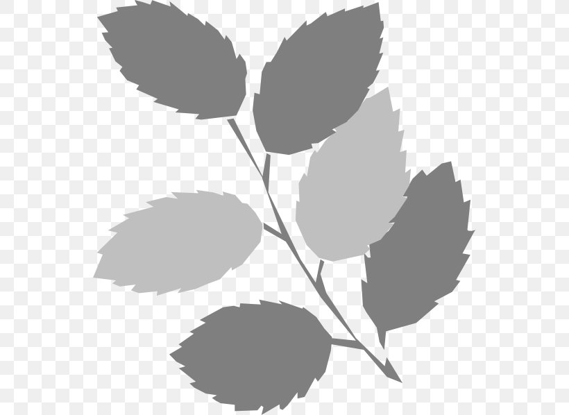 Leaf Green Clip Art, PNG, 552x598px, Leaf, Autumn Leaf Color, Black And White, Blog, Branch Download Free