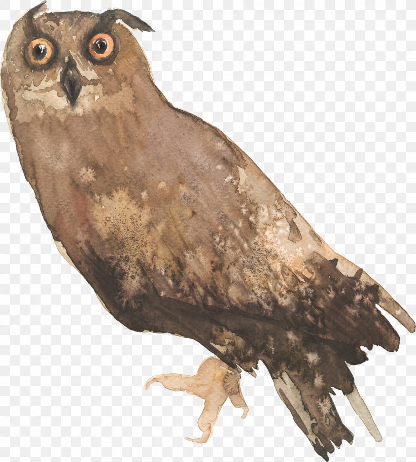 Owl Bird Clip Art, PNG, 2111x2344px, Owl, Beak, Bird, Bird Of Prey, Buzzard Download Free
