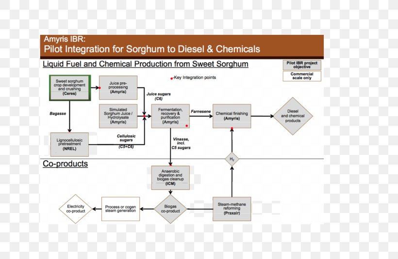Sweet Sorghum Diesel Fuel Biorefinery, PNG, 800x535px, Sweet Sorghum, Biodiesel, Biofuel, Biorefinery, Brand Download Free