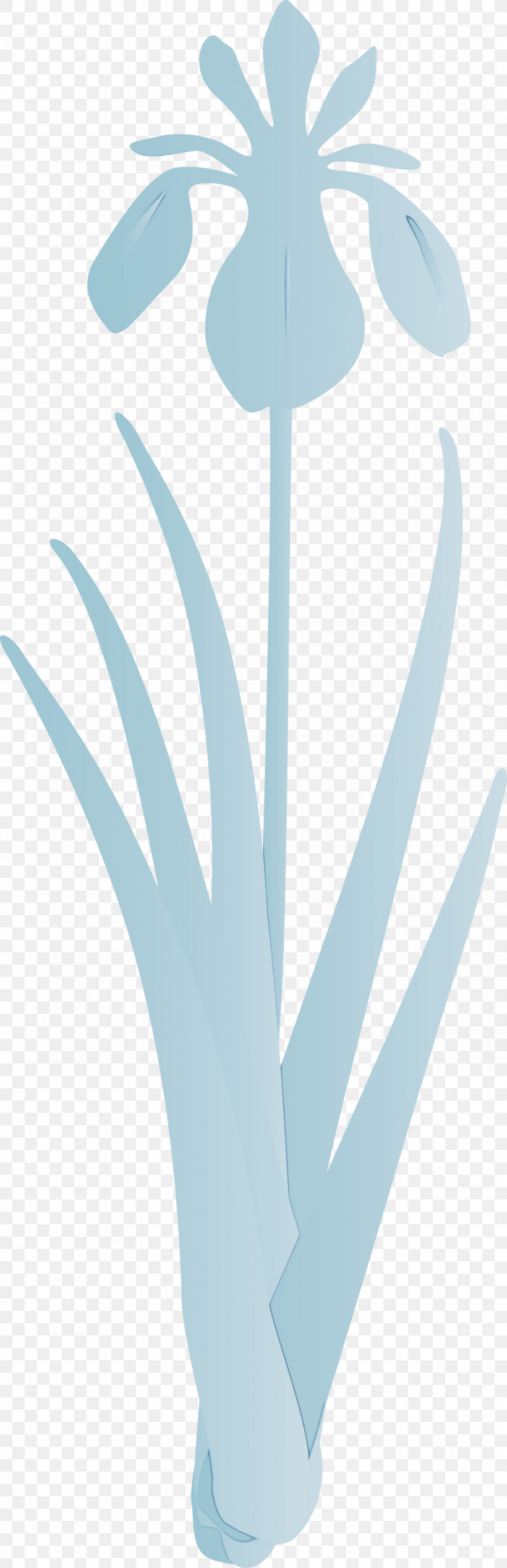 Turquoise Leaf Aqua Plant Flower, PNG, 970x3000px, Iris Flower, Aqua, Flower, Leaf, Paint Download Free