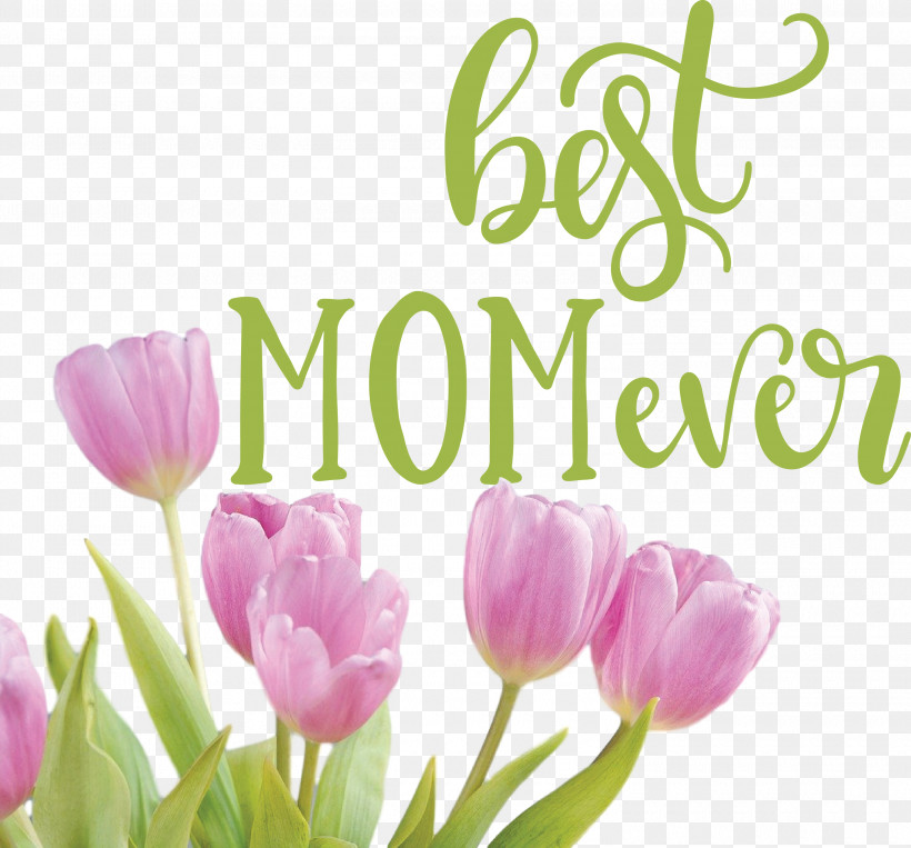 Mothers Day Best Mom Ever Mothers Day Quote, PNG, 3000x2794px, Mothers Day, Best Mom Ever, Cut Flowers, Floral Design, Flower Download Free