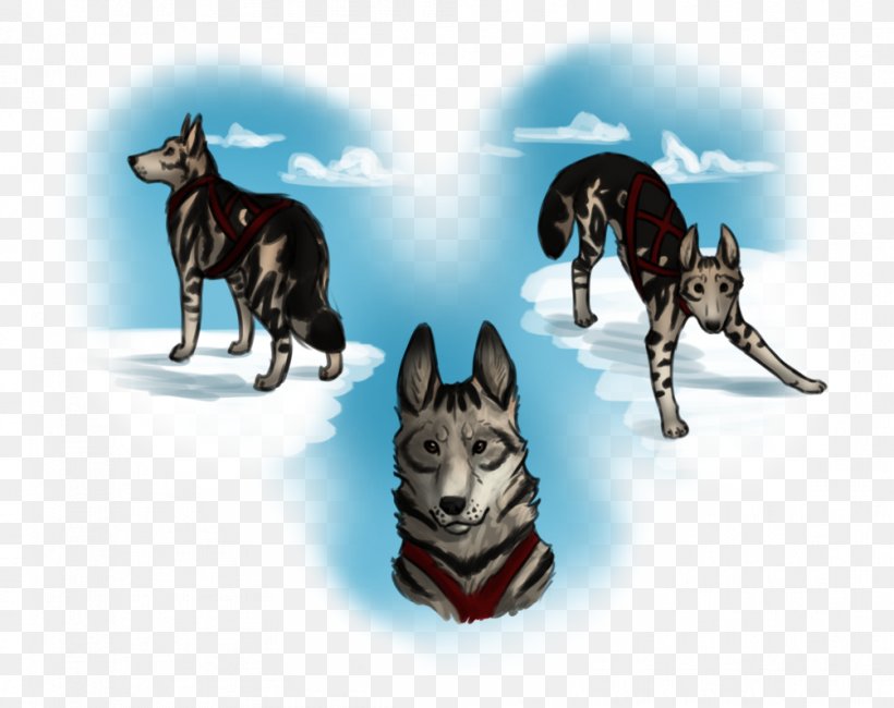 Siberian Husky Dog Breed Sled Dog, PNG, 1004x796px, Siberian Husky, Breed, Carnivoran, Dog, Dog Breed Download Free