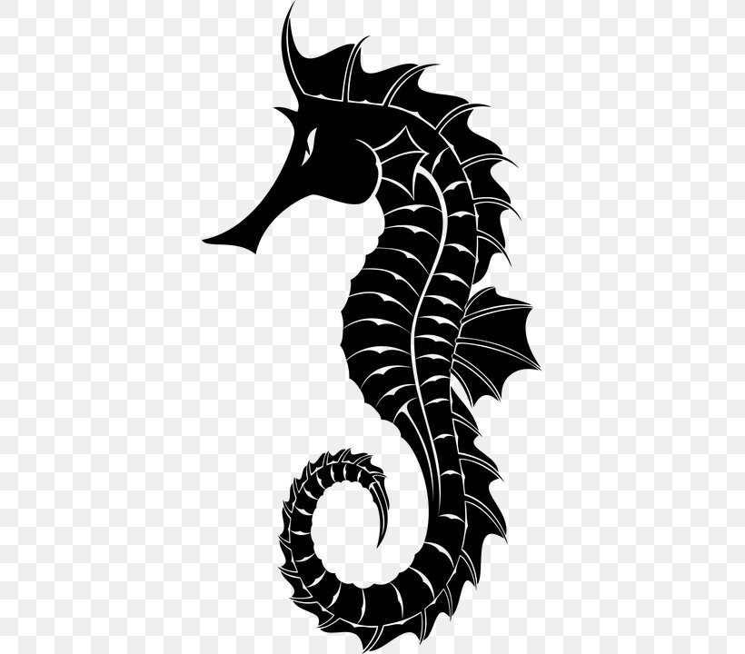 Silhouette White's Seahorse Clip Art, PNG, 375x720px, Silhouette, Black And White, Drawing, Fictional Character, Fish Download Free