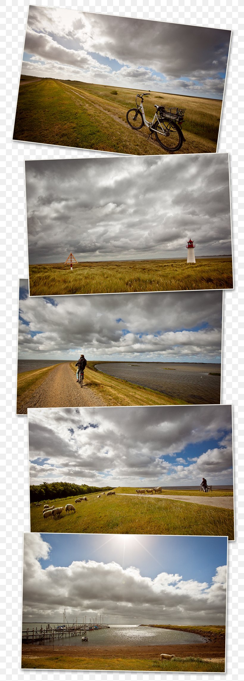 Sylt Wadden Sea Island /m/083vt, PNG, 800x2282px, Sylt, Blog, Border, Denmark, Germany Download Free