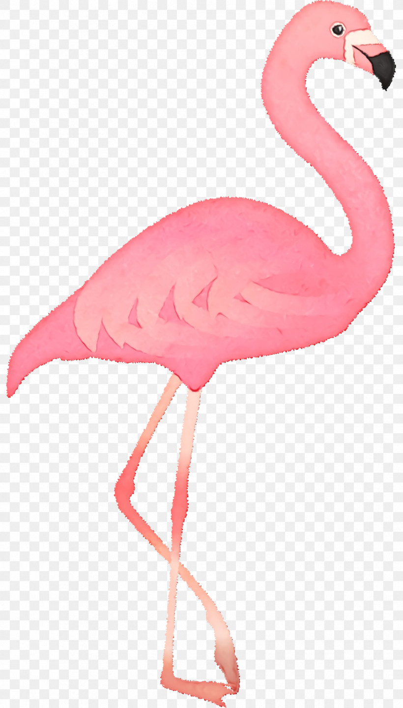 Feather, PNG, 912x1600px, Watercolor, Beak, Feather, Flamingo M, Paint Download Free