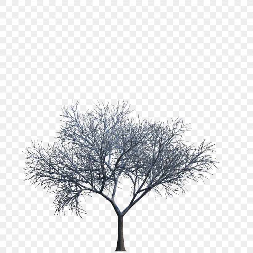 Tree Download 3D Computer Graphics, PNG, 3500x3500px, 3d Computer Graphics, Tree, Arecaceae, Autodesk 3ds Max, Black And White Download Free
