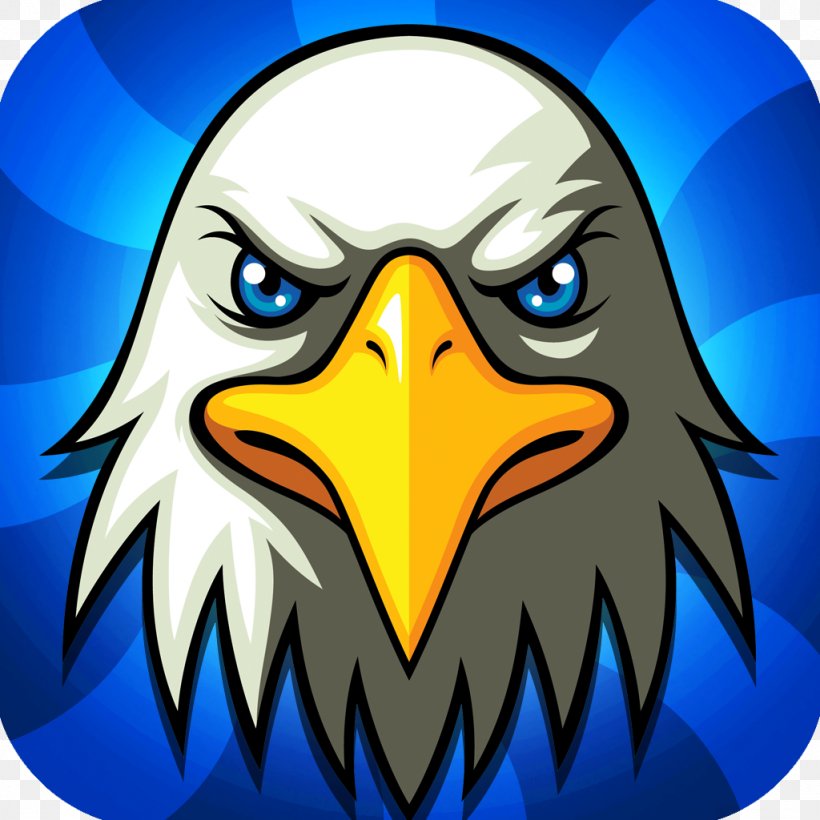 Bald Eagle Cartoon, PNG, 1024x1024px, Bald Eagle, Art, Beak, Bird, Bird Of Prey Download Free