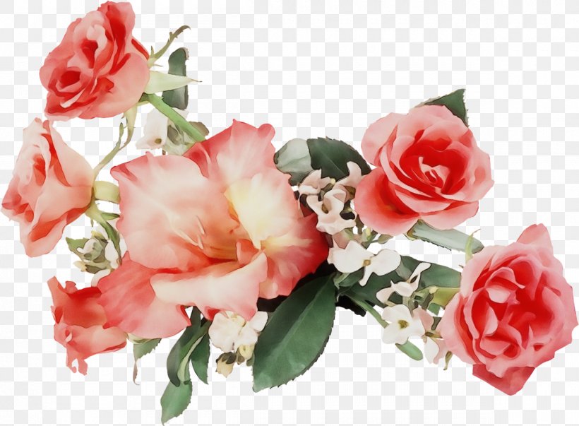 Garden Roses, PNG, 1200x883px, Watercolor, Cut Flowers, Flower, Flowering Plant, Garden Roses Download Free