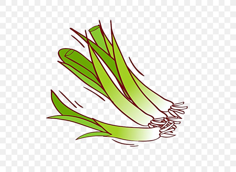 Garlic Clip Art, PNG, 600x600px, Garlic, Commodity, Flower, Food, Grass Download Free