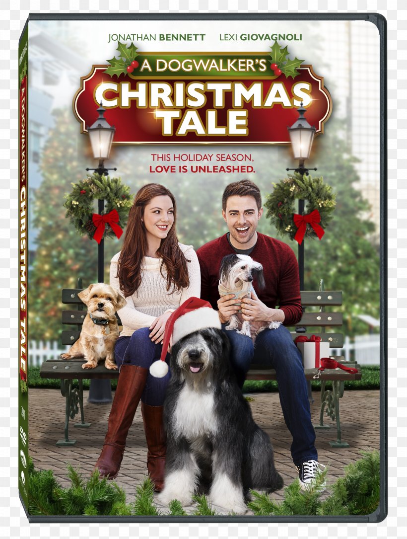 Luce Lockhart Actor DVD Film Director, PNG, 2341x3100px, Actor, Advertising, Christmas, Christmas Ornament, Companion Dog Download Free